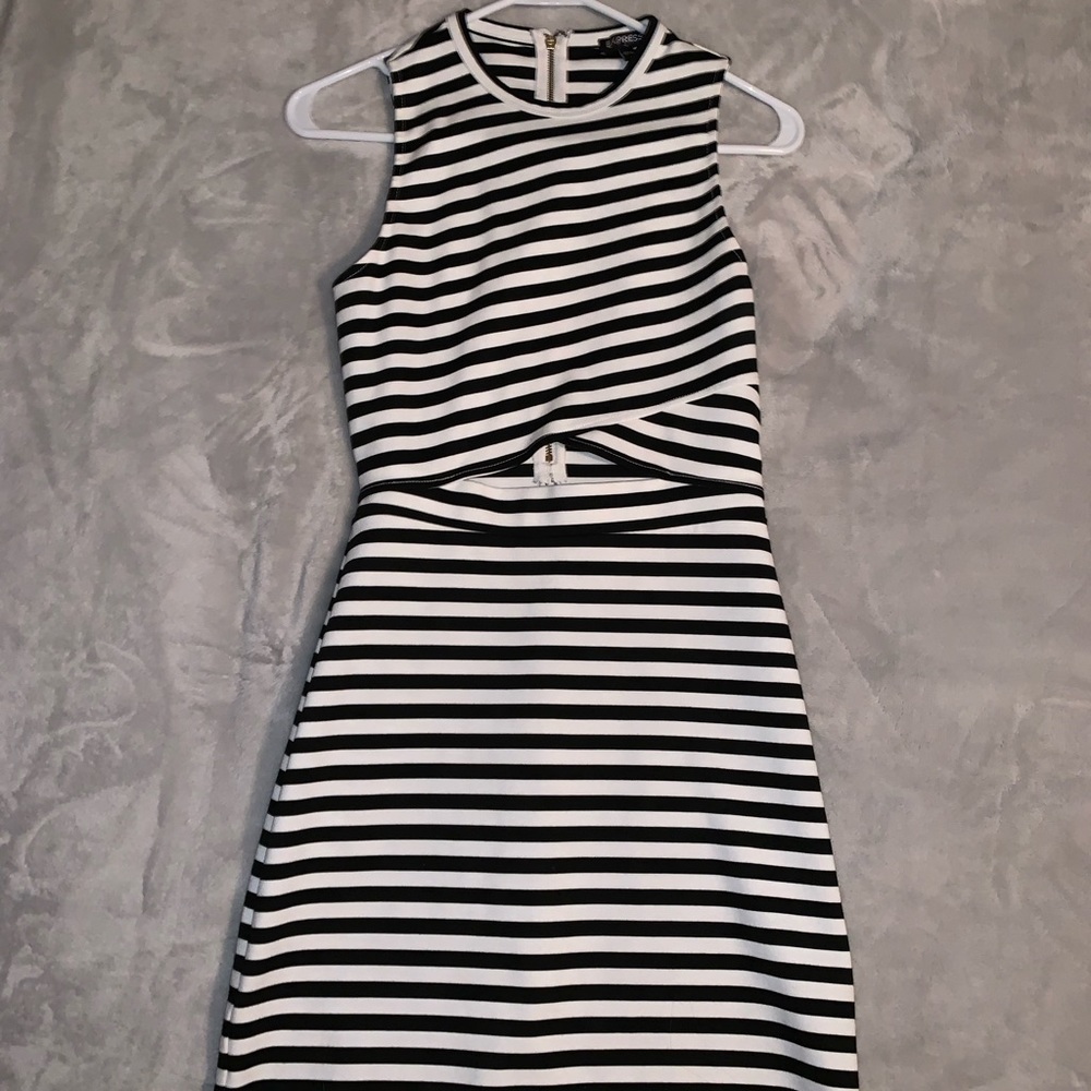 Express Striped Dress
